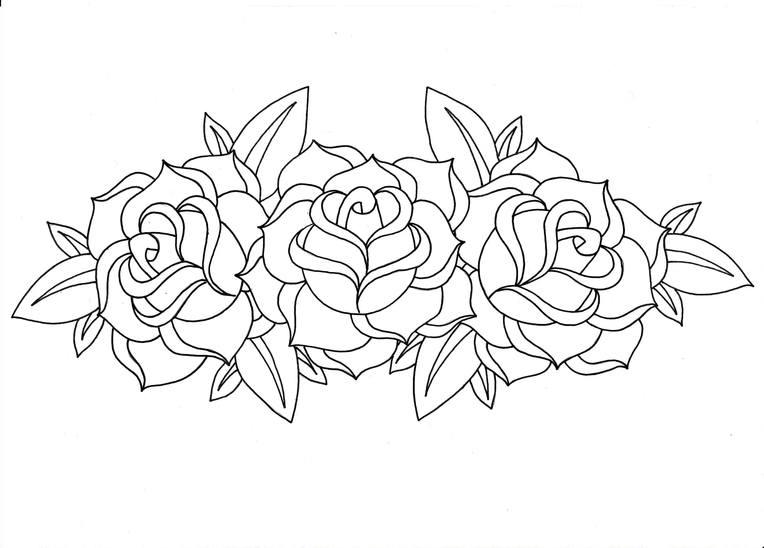 Dibujos para colorear e imprimir Roses