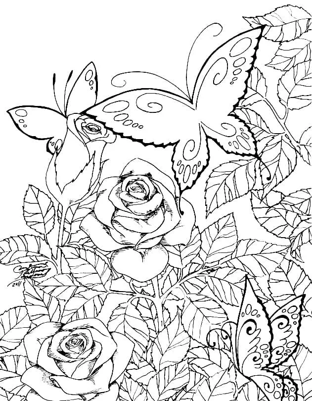 Dibujos para colorear e imprimir Roses