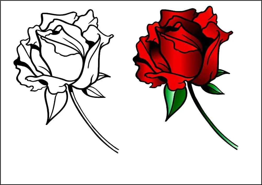 Dibujos para colorear e imprimir Roses