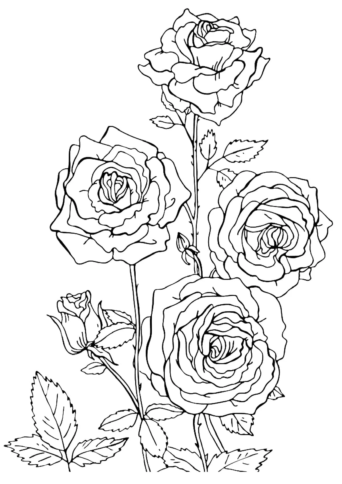 Dibujos para colorear e imprimir Roses