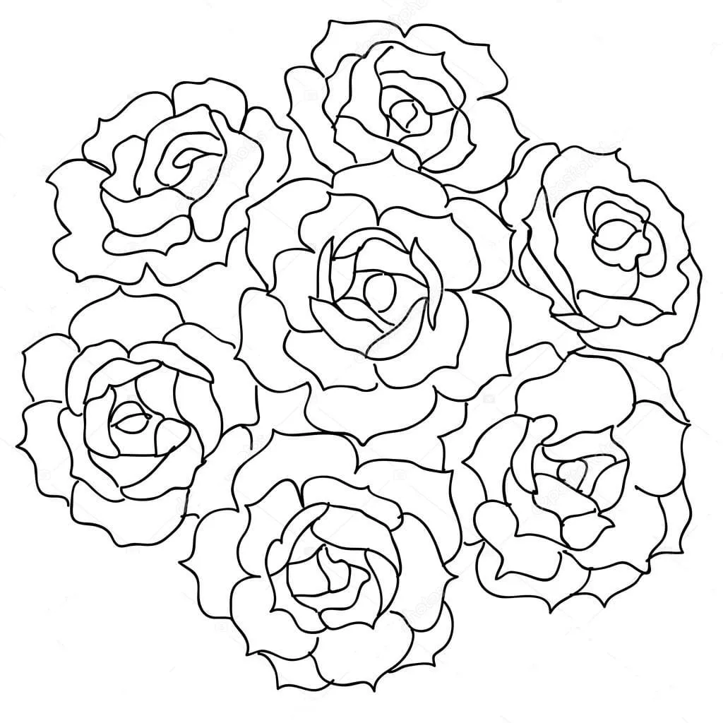 Dibujos para colorear e imprimir Roses