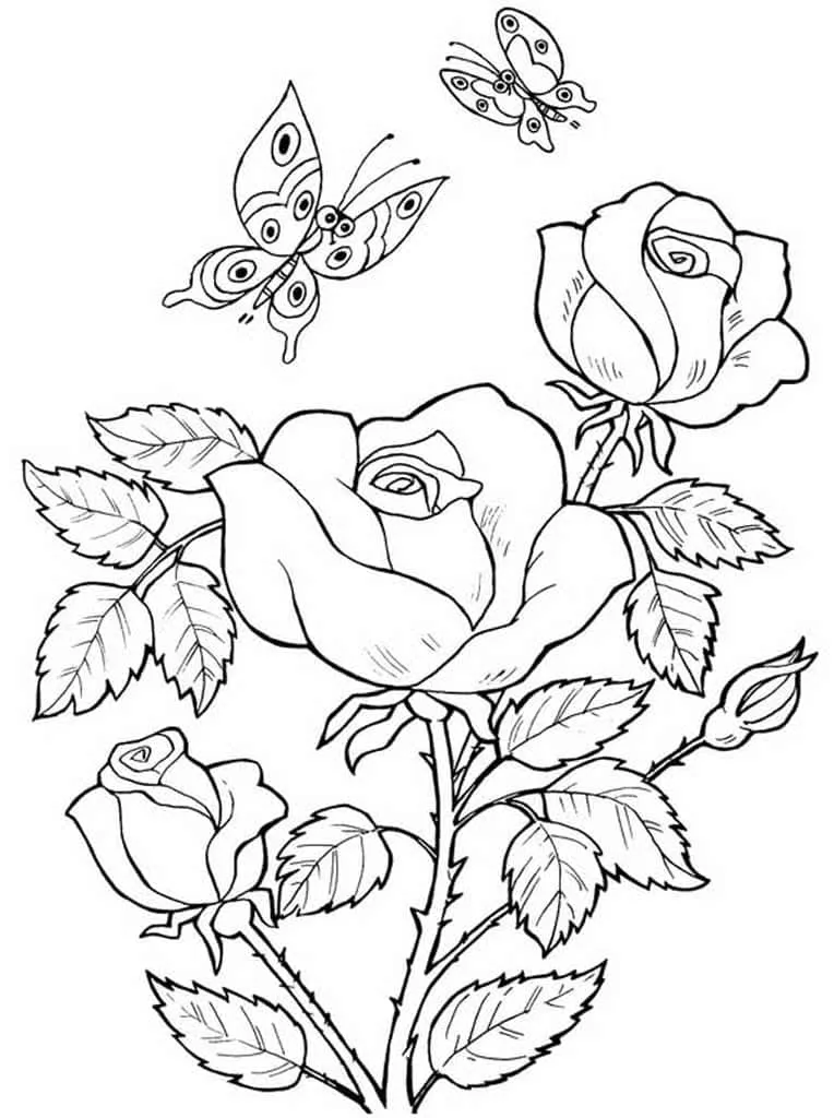 Dibujos para colorear e imprimir Roses