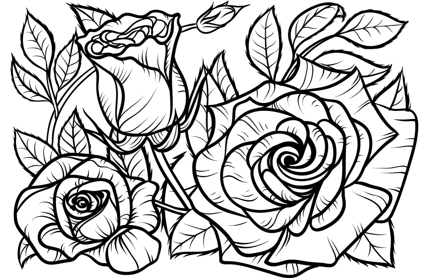 Dibujos para colorear e imprimir Roses