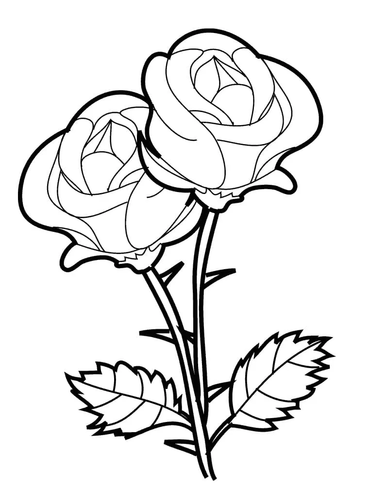 Dibujos para colorear e imprimir Roses