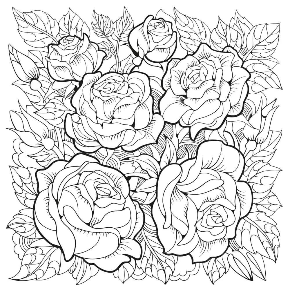 Dibujos para colorear e imprimir Roses