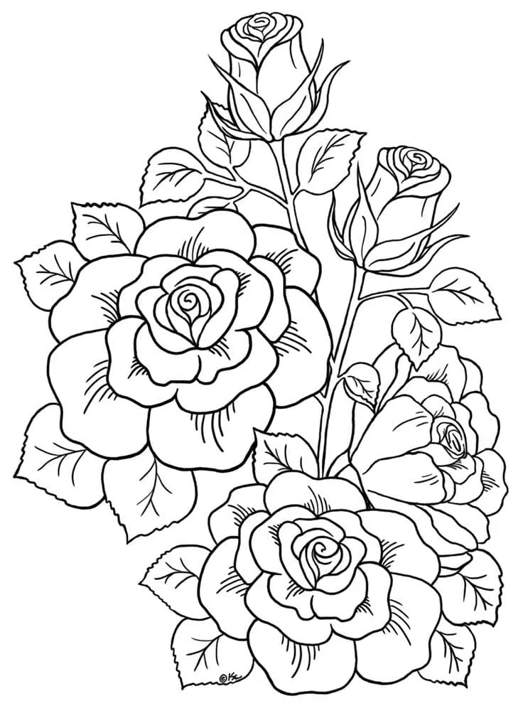 Dibujos para colorear e imprimir Roses