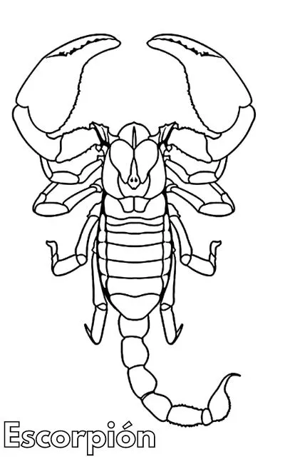 Dibujos para colorear e imprimir Scorpion