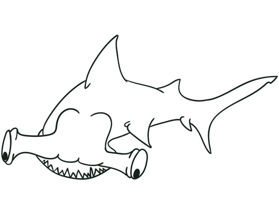 Dibujos para colorear e imprimir Sharks