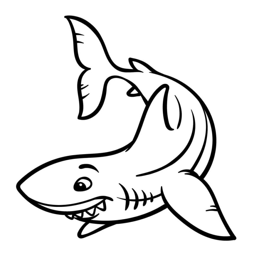 Dibujos para colorear e imprimir Sharks