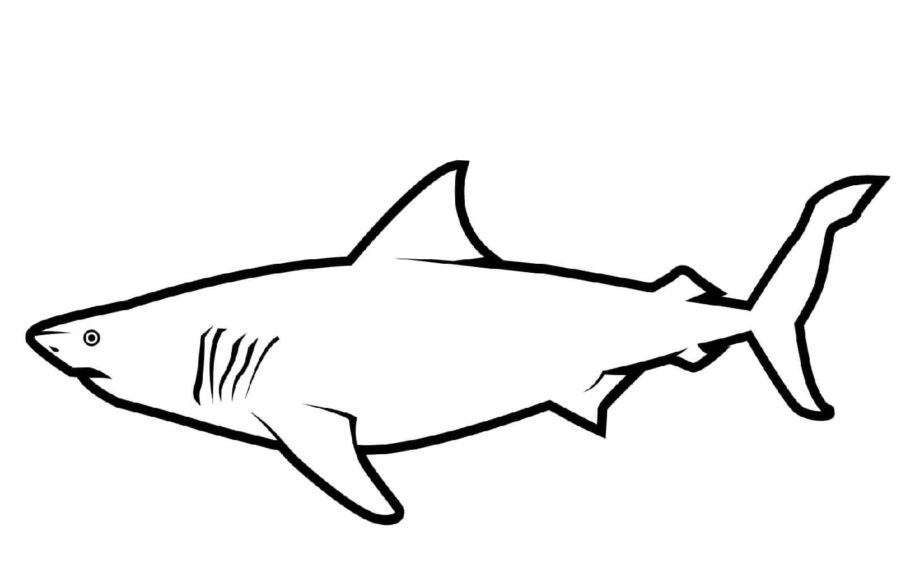 Dibujos para colorear e imprimir Sharks