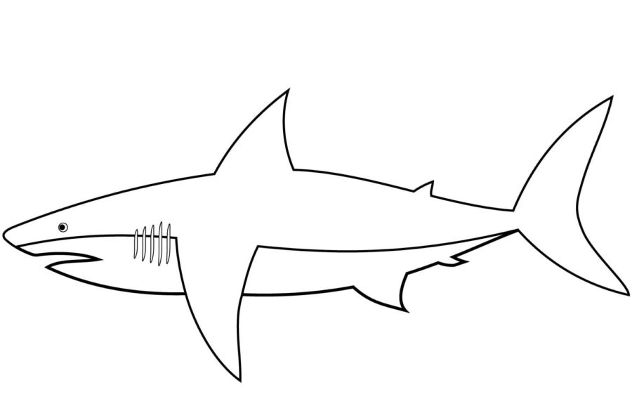 Dibujos para colorear e imprimir Sharks