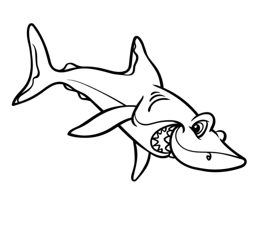 Dibujos para colorear e imprimir Sharks