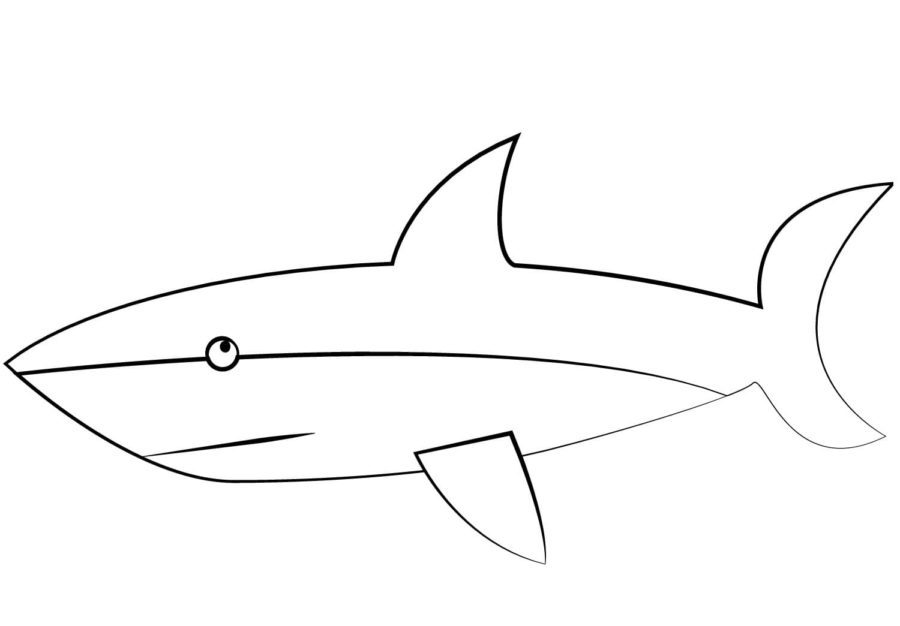 Dibujos para colorear e imprimir Sharks