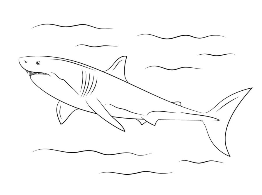 Dibujos para colorear e imprimir Sharks