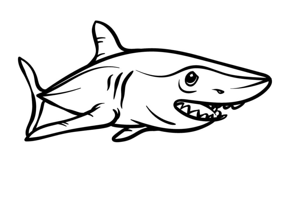 Dibujos para colorear e imprimir Sharks