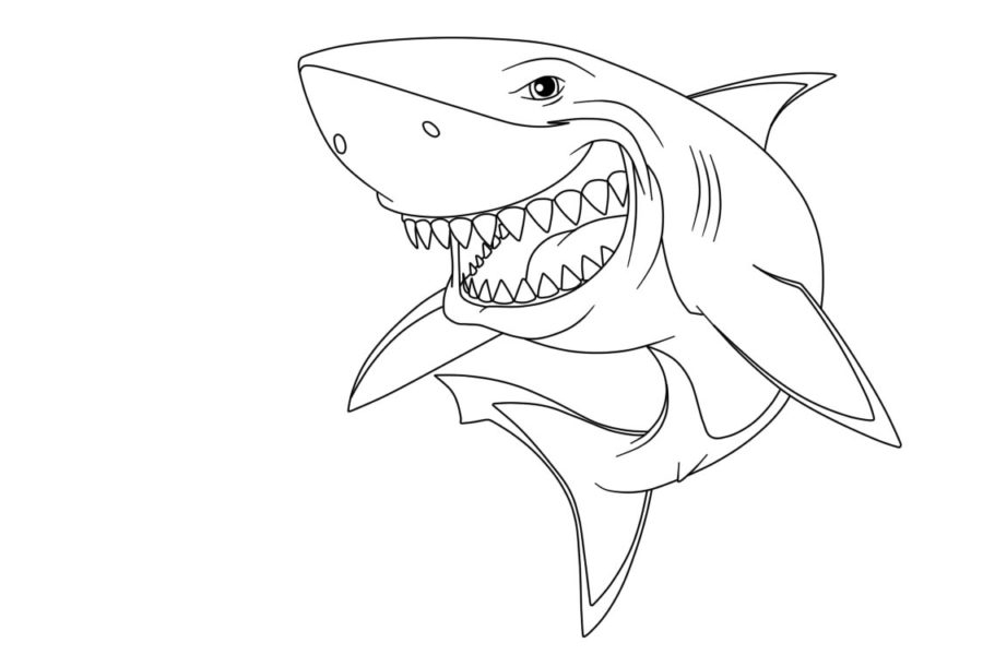 Dibujos para colorear e imprimir Sharks