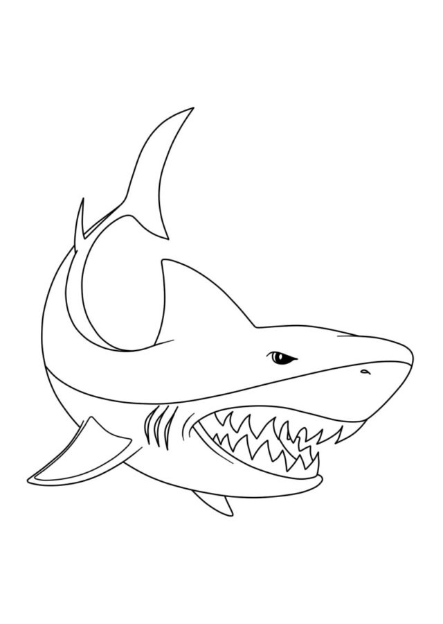 Dibujos para colorear e imprimir Sharks