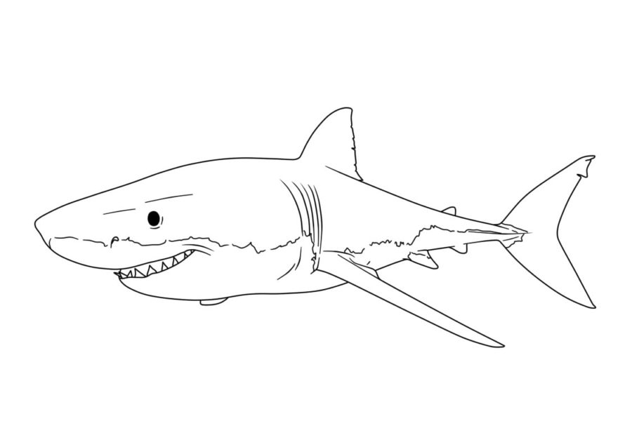 Dibujos para colorear e imprimir Sharks