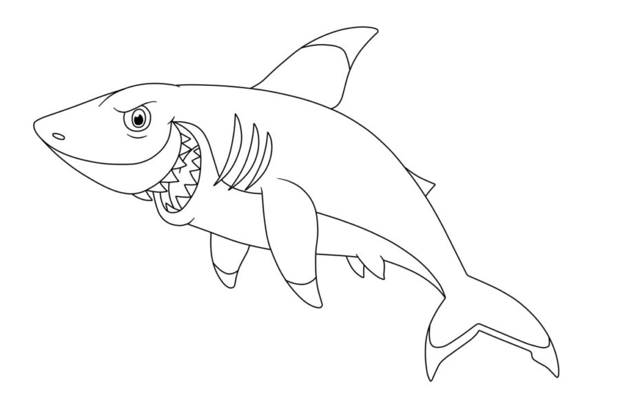 Dibujos para colorear e imprimir Sharks