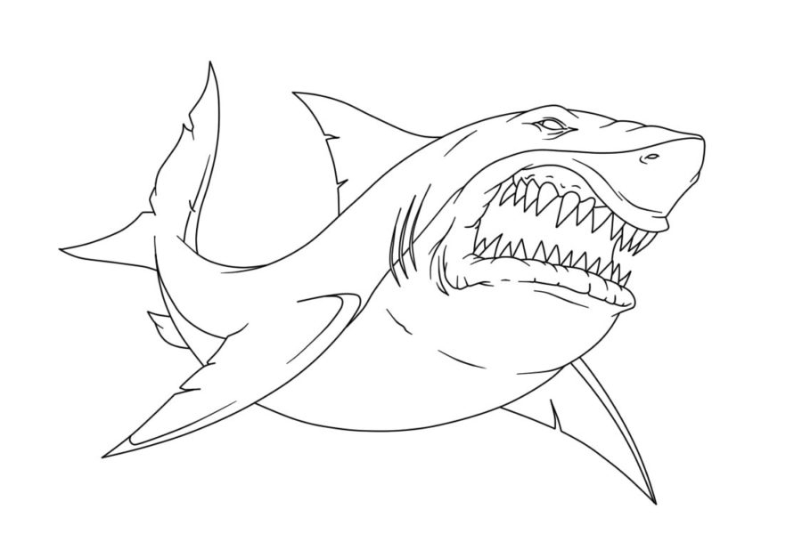 Dibujos para colorear e imprimir Sharks