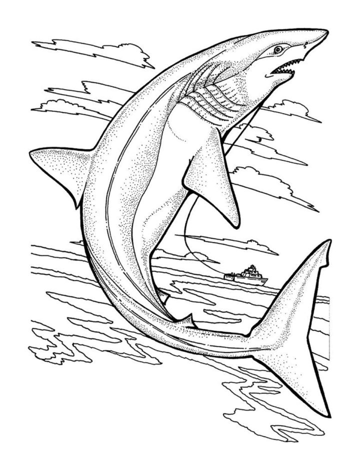 Dibujos para colorear e imprimir Sharks