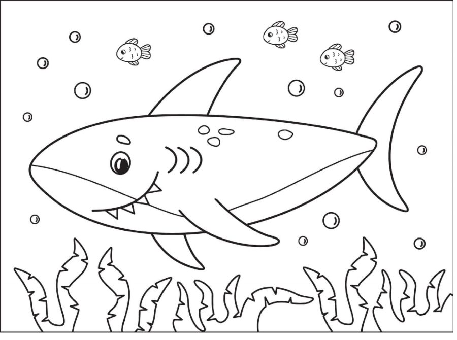 Dibujos para colorear e imprimir Sharks