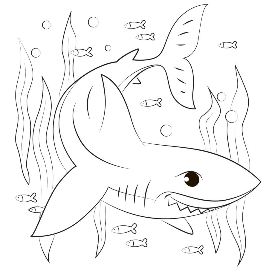 Dibujos para colorear e imprimir Sharks