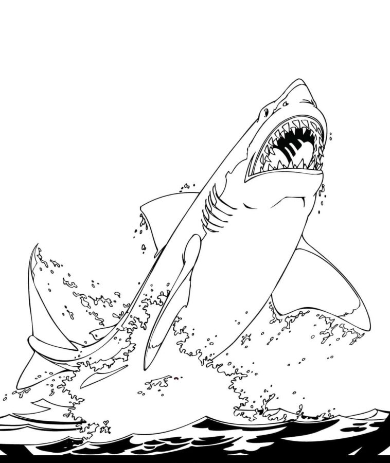 Dibujos para colorear e imprimir Sharks