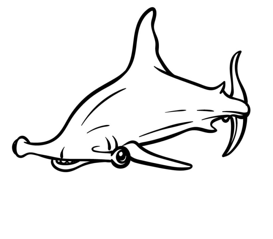 Dibujos para colorear e imprimir Sharks