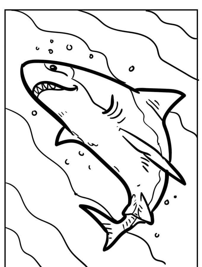 Dibujos para colorear e imprimir Sharks