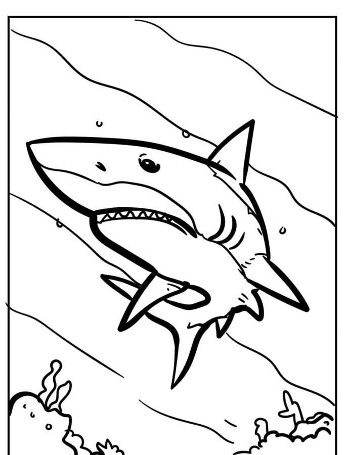 Dibujos para colorear e imprimir Sharks