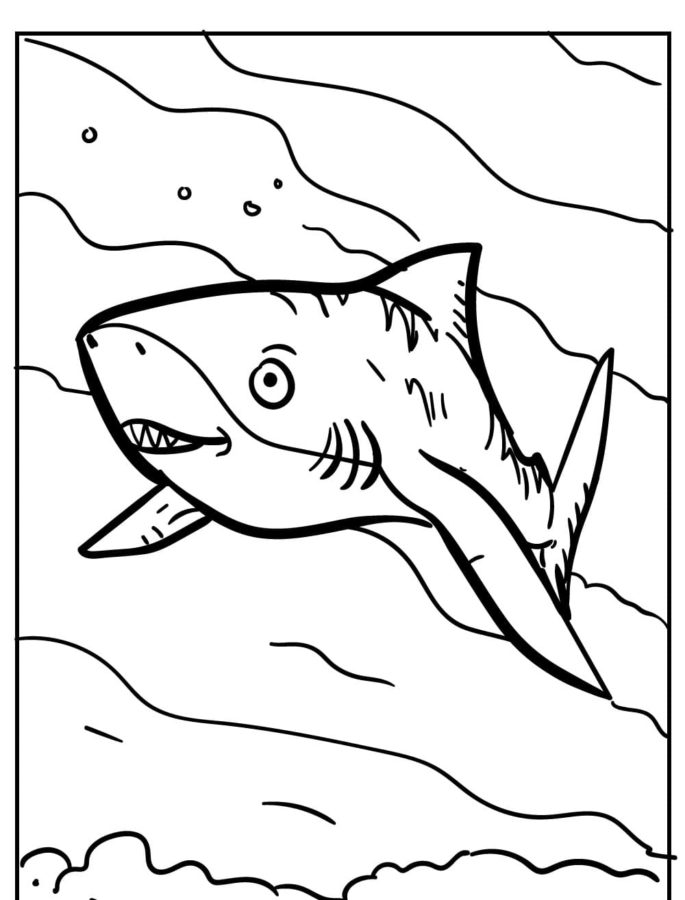 Dibujos para colorear e imprimir Sharks