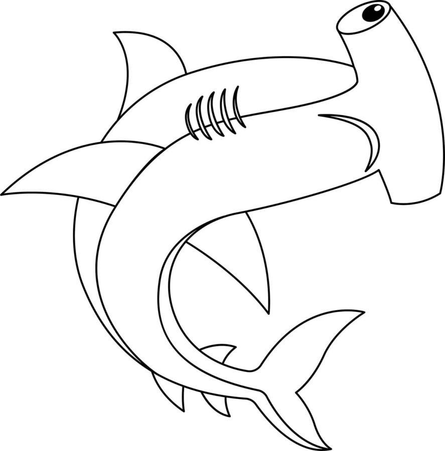 Dibujos para colorear e imprimir Sharks