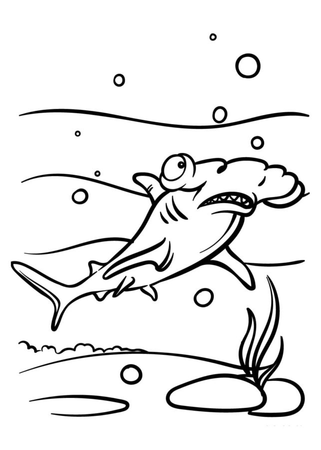 Dibujos para colorear e imprimir Sharks