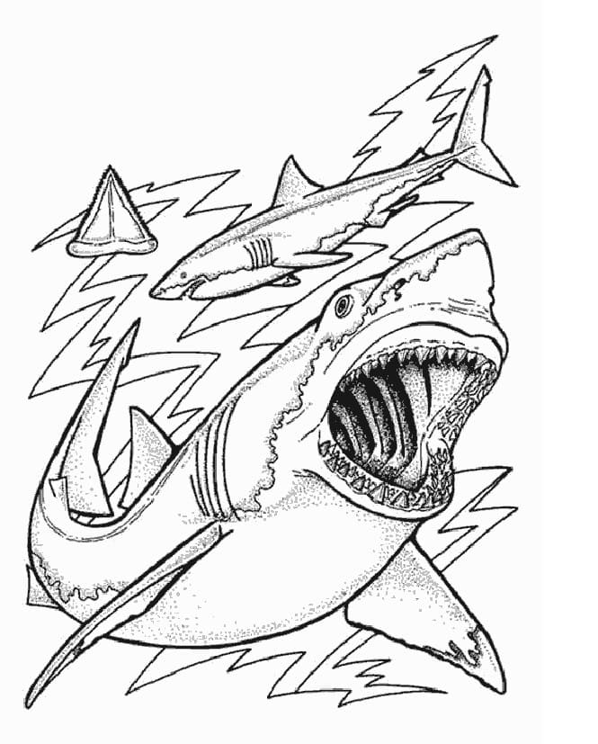 Dibujos para colorear e imprimir Sharks