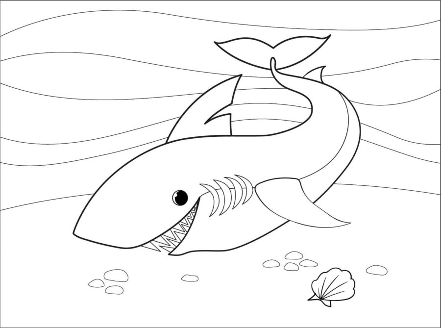 Dibujos para colorear e imprimir Sharks