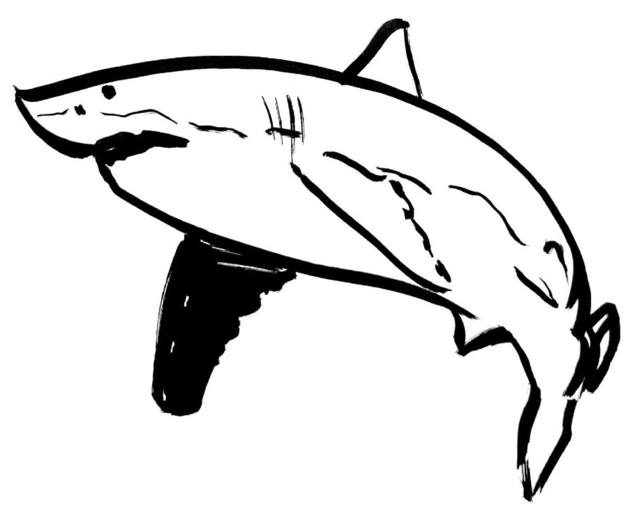 Dibujos para colorear e imprimir Sharks