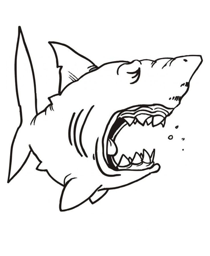 Dibujos para colorear e imprimir Sharks