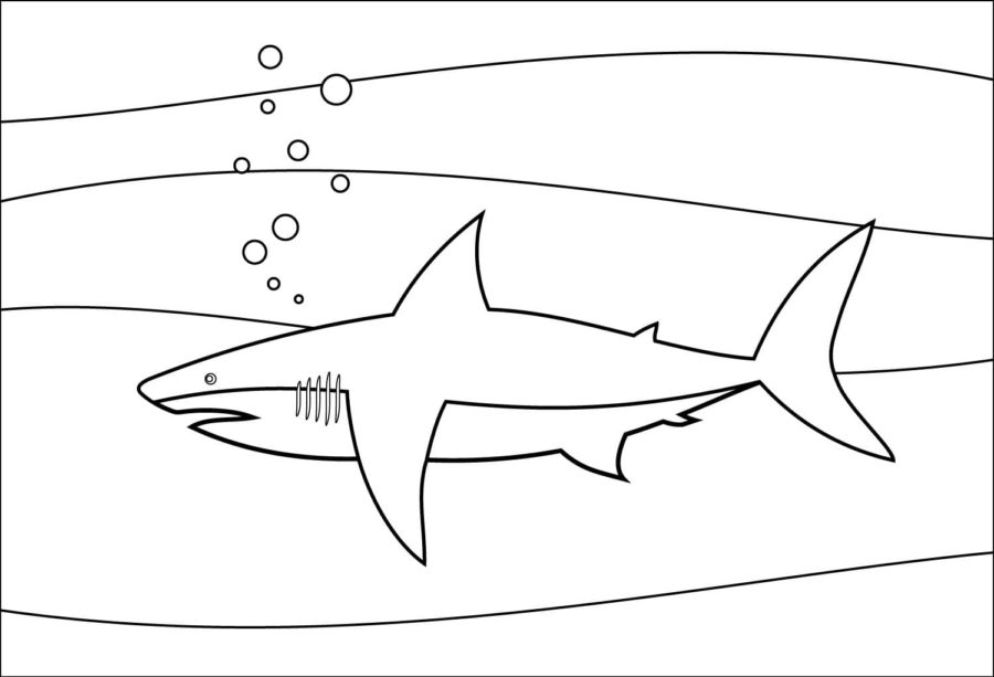 Dibujos para colorear e imprimir Sharks