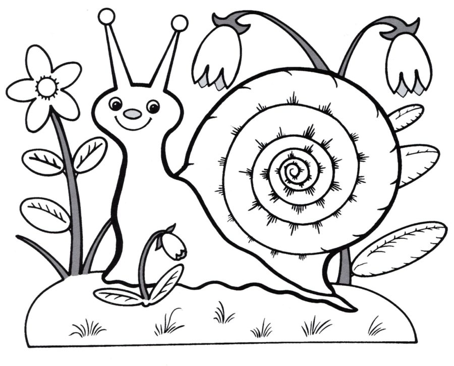 Dibujos para colorear e imprimir Snail