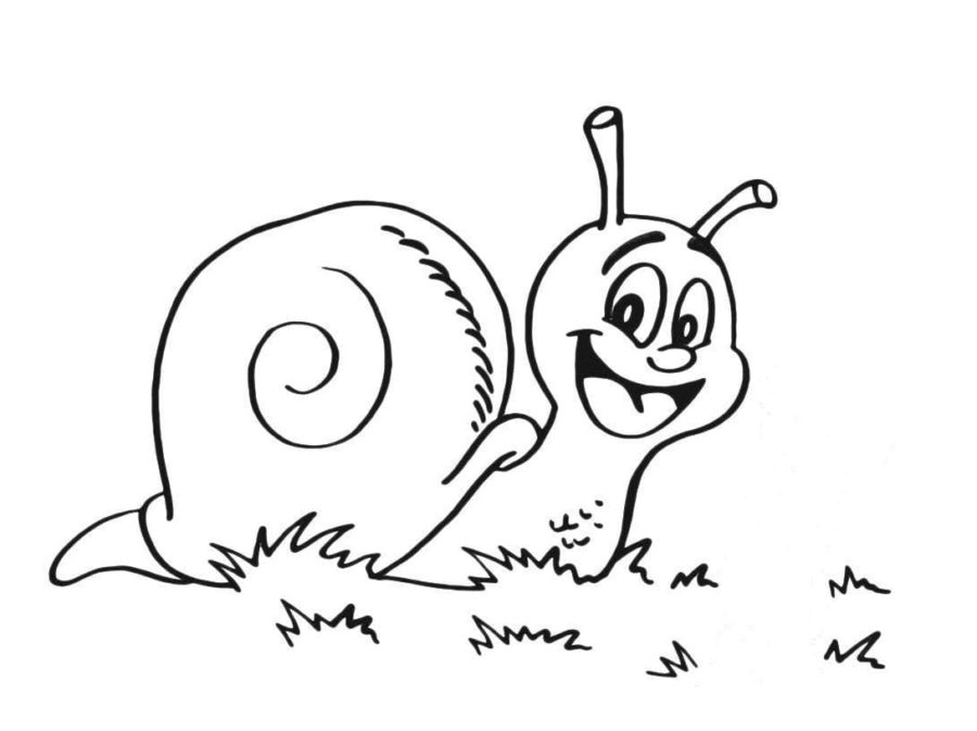 Dibujos para colorear e imprimir Snail