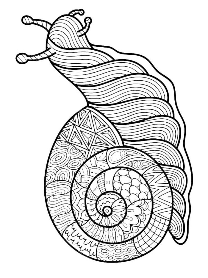 Dibujos para colorear e imprimir Snail