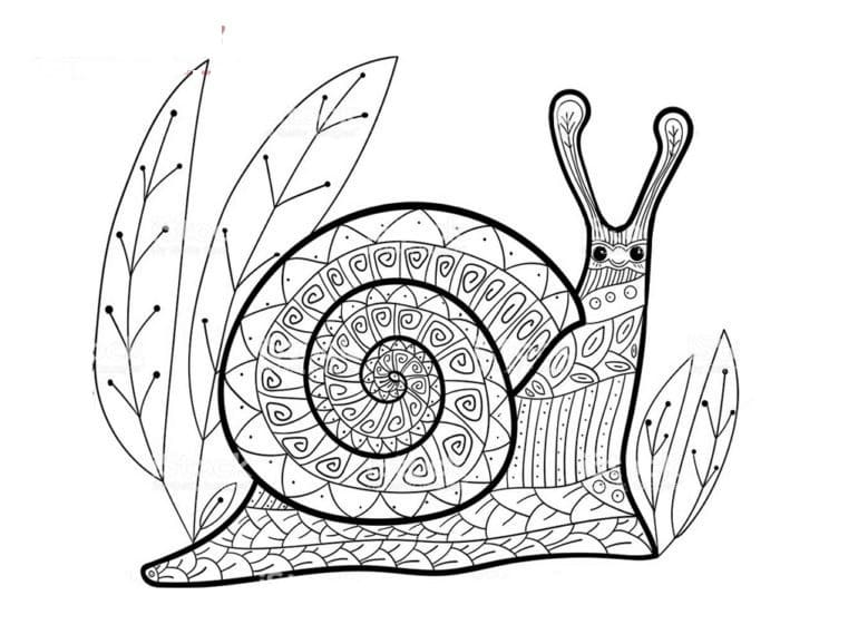 Dibujos para colorear e imprimir Snail