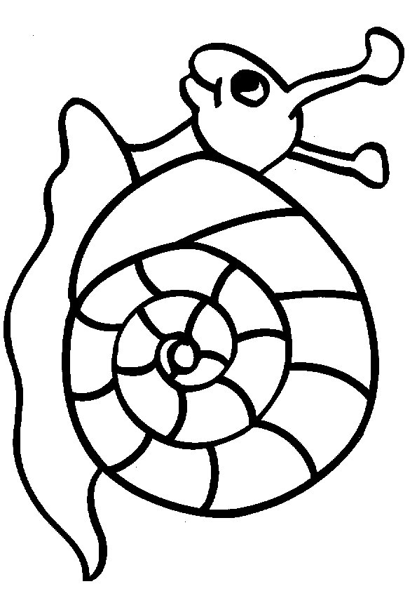 Dibujos para colorear e imprimir Snail