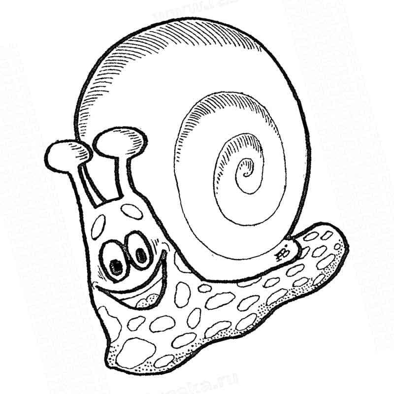 Dibujos para colorear e imprimir Snail