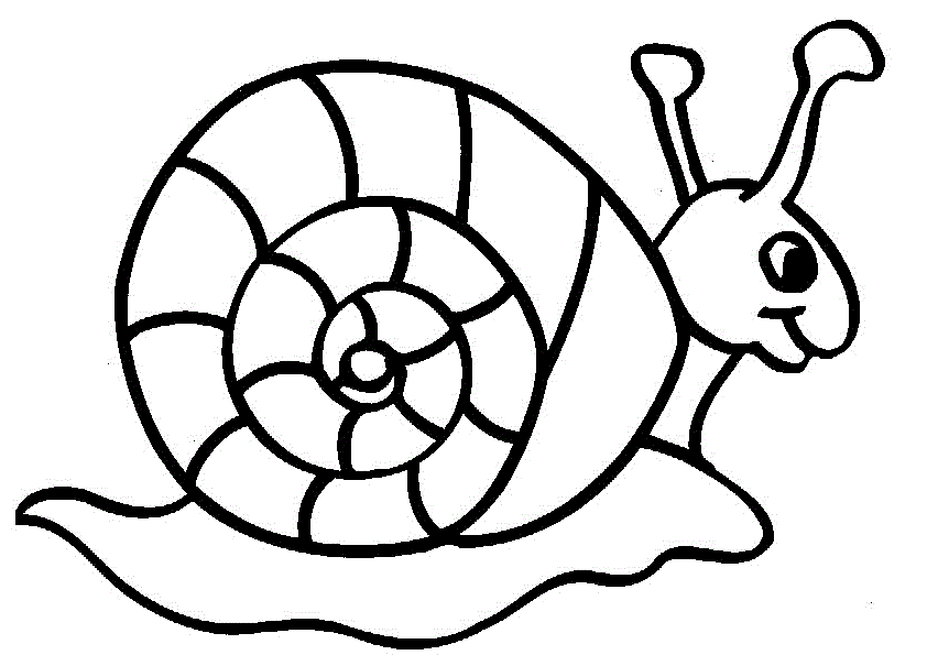 Dibujos para colorear e imprimir Snail