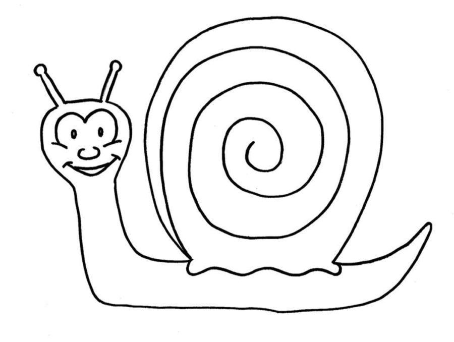 Dibujos para colorear e imprimir Snail