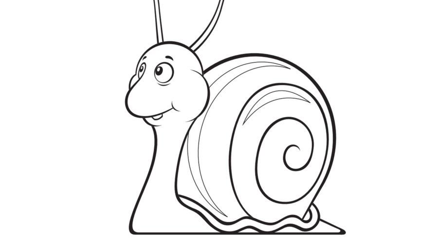 Dibujos para colorear e imprimir Snail