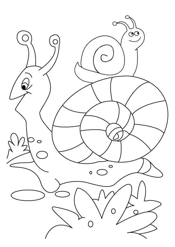 Dibujos para colorear e imprimir Snail