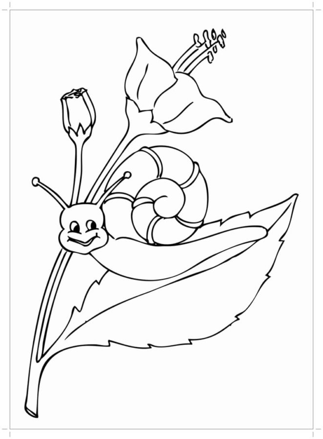 Dibujos para colorear e imprimir Snail